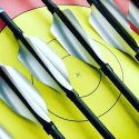 XS WINGS FLUORESCENT VANES 捲羽 50入裝